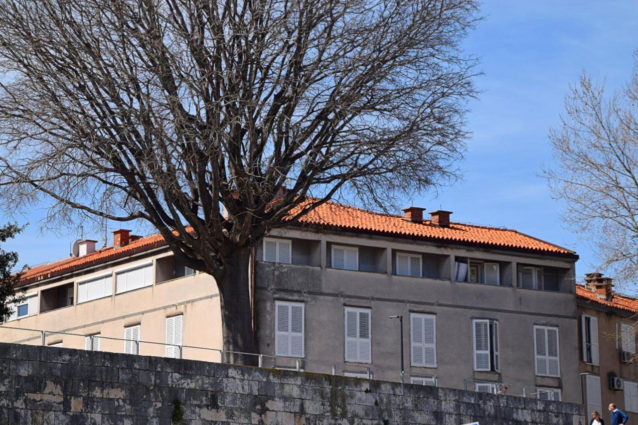 Apartment Corner Zadar